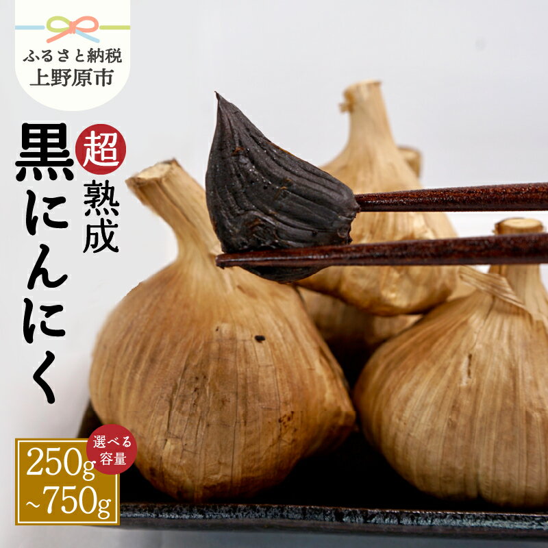 【ふるさと納税】 超熟成 黒にんにく 山梨県産 健康食品 1袋～3袋 250g 450g 750g 国産 談合坂 超熟 にんにく おやつ フルーツ のように 甘い 送料無料 山梨県 上野原市