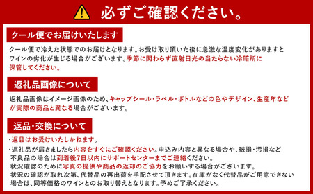 【予約】福智山ダム熟成 スパークリングワイン ロゼ FD312【2024年9月下旬-2025年4月下旬発送予定】ボッテガロゼ 冷蔵 ワイン 酒 お酒