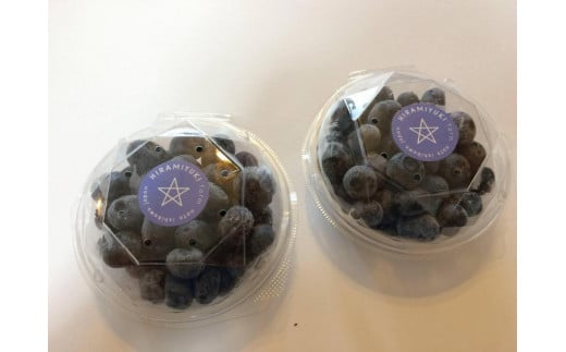 【復興支援】【先行予約】生・能登ブルーベリー200ｇパック×２つ