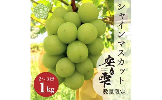 シャインマスカット約1kg(2～3房)【ご家庭用･先行予約】数量限定 空の雫 シャイン マスカット ぶどう 葡萄 ブドウ フルーツ 果物 くだもの 産地直送 世羅 世羅産 サンワファーム 【2026年10月上旬以降順次発送】 A025-03
