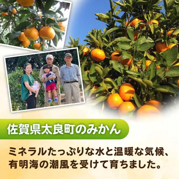 【2026年10月下旬以降発送】完熟 太良みかん 計5kg（4.5kg＋500g傷み保証分） / 佐賀県 / 山本農園 [41ATBT003]