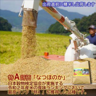 ふるさと納税 松浦市 松浦の寒暖差が味の決め手!特A評価獲得の品種「なつほのか」棚田浮立の里のお米10kg |  | 01
