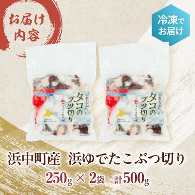 ふるさと納税 浜中町 【令和8年2月発送分】浜ゆでたこぶつ切り(250g×2袋)_H0023-033-R802 |  | 02