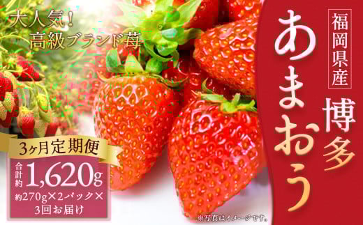 【3回定期便】いちご「あまおう」 約270g×2パック 計約1.62kg 苺 イチゴ 果物 フルーツ 【2026年1月上旬順次発送開始予定】