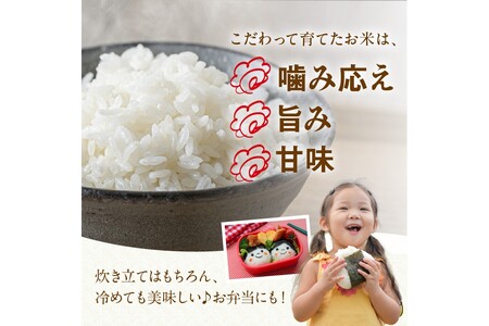 京丹後米～水と文化が育んだ～こしひかり・夢ごこち食べ比べセット 2kg（各1kg×2袋）