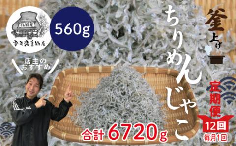 【12回定期便】老舗海産物店の土佐黒潮こだわりちりめんじゃこ560g（計6.72kg）R6-753