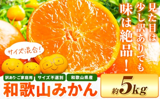 訳あり みかん (3S～3L) 約5kg《10月上旬‐12月下旬頃に発送(土日祝を除く)》和歌山県 日高町 果物 フルーツ 訳あり みかん 家庭用 お試し 大容量 送料無料