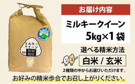 【先行予約】【 令和8年産　新米 】【農家直送】【選べる精米方法】特別栽培米認証3 ミルキークイーン 5kg×1袋（計5kg） 白米【2026年10月中旬より順次発送】  | お米 おこめ ごはん ご
