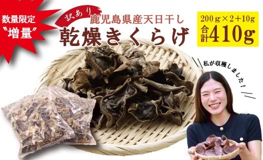 
            ＼数量限定〝増量"／鹿児島県産天日干し【訳アリ】乾燥きくらげ 合計410g　AS-4105
          