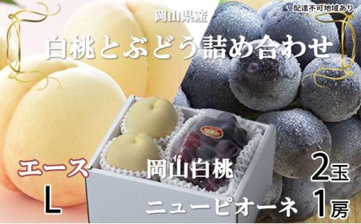 桃 ぶどう 2026年 岡山 白桃 エース 2玉×約200g（Lサイズ、早生種・中生種）ニュー ピオーネ 1房約400g 詰め合わせ 岡山県産 フルーツ