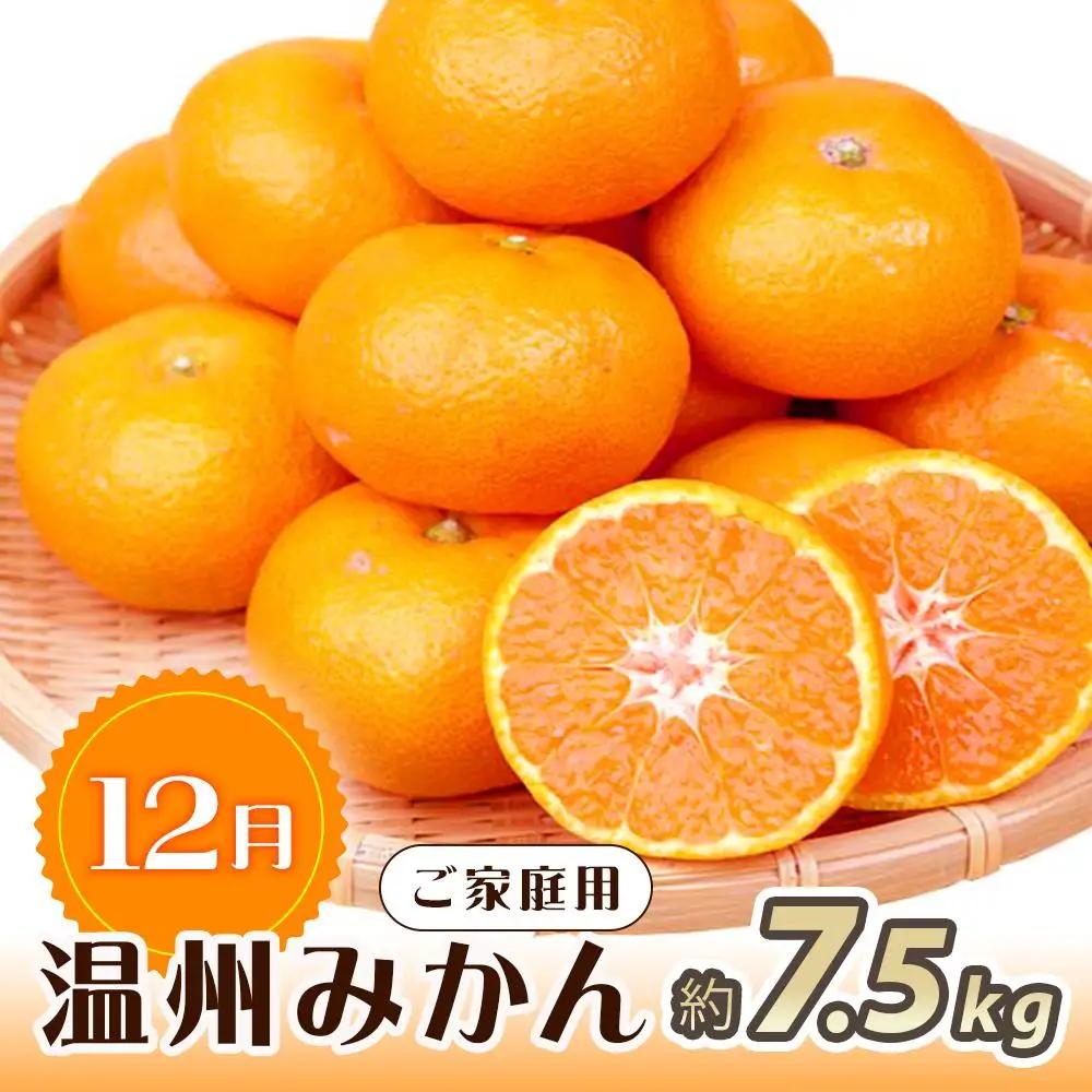 【10・11・12月 全3回】和歌山産 みかんと柿のお楽しみ 定期便 【魚鶴商店】【UT111】