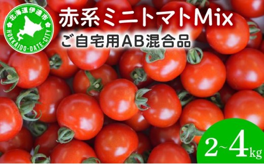 
                  【選べる容量】＜先行予約＞赤系ミニトマトMix 2kg～4kg【ffk-004/ffk-005】北海道 伊達市 野菜 新鮮 ふるさと納税 送料無料
                