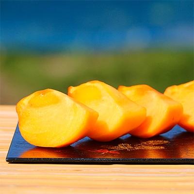 ふるさと納税 玉東町 【産直】太秋柿(大玉)約2.5kg　5玉〜8玉　緑伸園の夕焼け太秋