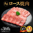 【ふるさと納税】熟成 しまね和牛 ロース焼肉 約180g×2P（360g）【JK-3】｜送料無料 ギフト ロース焼肉 A4ランク A4 熟成 熟成肉 しまね和牛 和牛 牛肉 牛 お肉 肉 ロース ロース肉 肉 贅沢 豪華 焼肉 BBQ お取り寄せ お取り寄せグルメ グルメ 内祝い 贈物 プレゼント｜