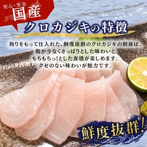 a10-1162　【2025年3月以降順次発送】国産 天然カジキ切り落とし 約100g×10パック