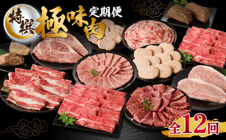 【特撰】佐賀牛・県産和牛 極味肉定期便【12回】｜牛肉 定期便 牛肉定期便 牛肉 定期便 牛肉定期便【Z007】