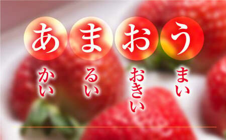いちご あまおう 12～15粒 いちご