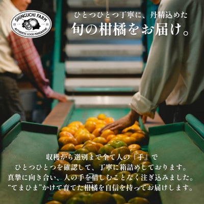 【創業108年】愛媛みかんの老舗【伊予柑 3kg】【C70−72】【1615841】