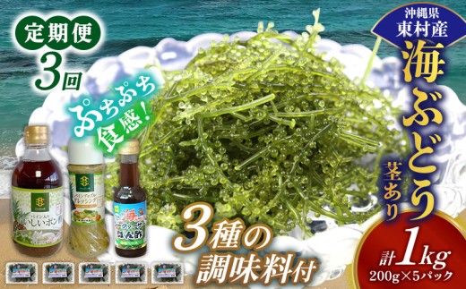 【定期便：3回】美ら海 沖縄県産 海ぶどうセット／茎あり1kg（200g×5パック）＆調味料３種セット 海ブドウ 海ぶどう うみぶどう パック 茎なし ポン酢 ドレッシング たれ付き クビレズタ 海鮮 海藻 プチプチ おつまみ 沖縄料理 ご当地 特産品 グルメ 常温 沖縄県 東村