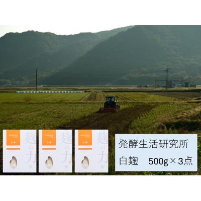 ふるさと納税 浅口市 発酵生活研究所　白麹500g×3袋(計1.5kg)　 |  | 01