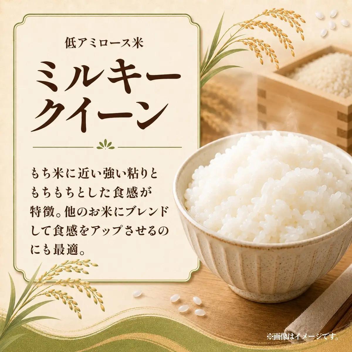 令和8年度米 ミルキークイーン 玄米 10kg 農家直送 | 新米 令和8年 先行受付 期間限定 