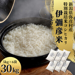 令和7年 特別栽培米コシヒカリ「伊彌彦米」30kg(5kg×6袋)新潟県産 精米 弥彦村_弥彦産コシヒカリ 特別栽培米コシヒカリ 皇室献上米 新潟産コシヒカリ_【1006487】