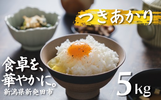 【令和8年産】つきあかり 5kg コシヒカリ こしひかり 同等以上の食味 ご飯 備蓄 コメ お米 米 こめ 新潟産 新潟米 新潟県 新潟 新発田 新発田市 国産 新発田市産 斗伸 toushin064_02