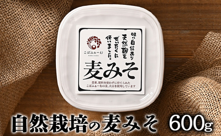 みそ 麦みそ 自然栽培 無農薬 600g みそ