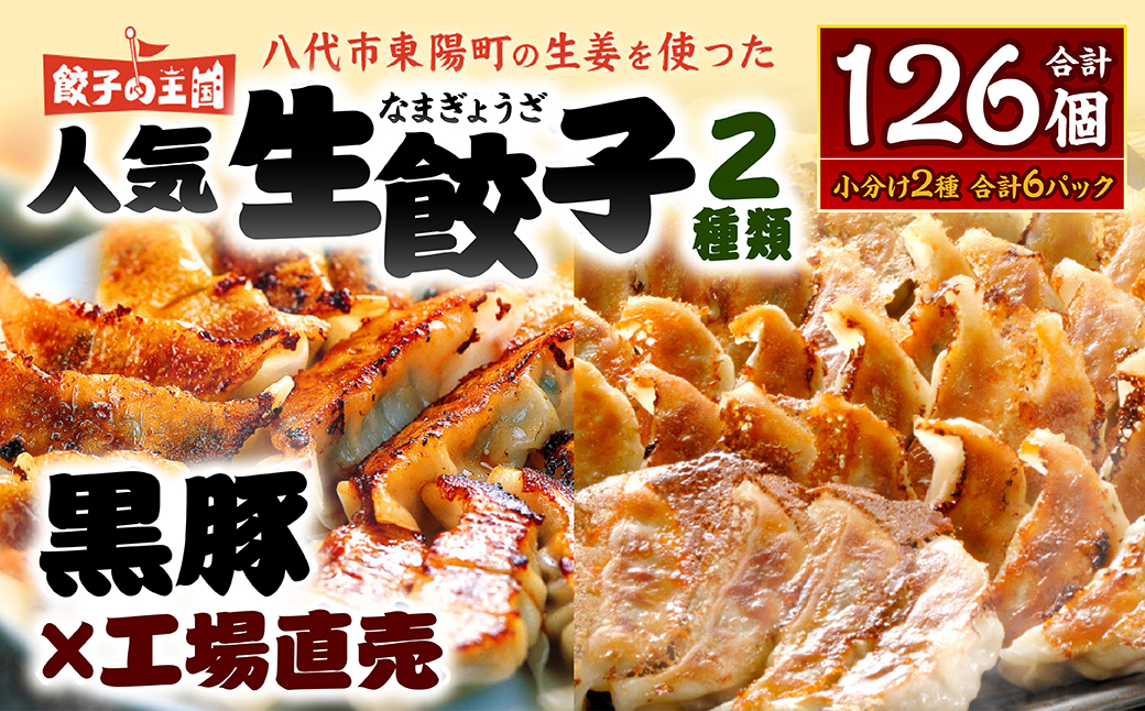 【順次発送】 八代市東陽町の生姜を使った 餃子の王国 人気生餃子126個 ぎょうざ ギョウザ_イメージ1