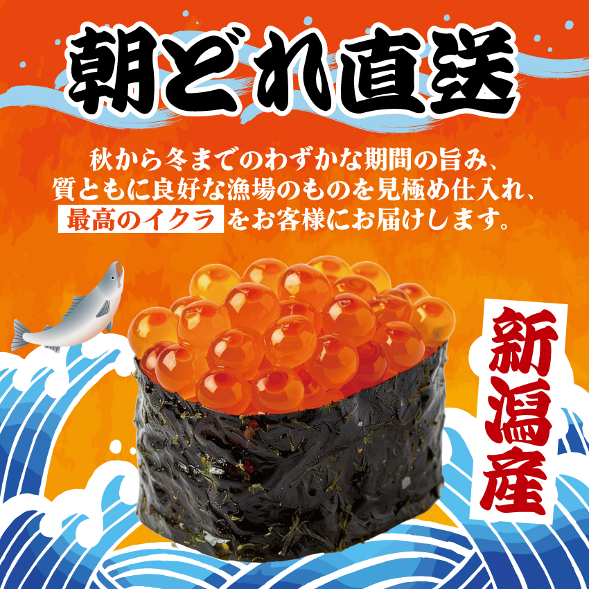 令和8年産 生イクラ 500g 【 いくら 鮭 生いくら 海鮮 鮮魚 朝どれ 朝採れ とれたて 国産 新潟県産 お正月 おせち 年末 年始 贈答 予約 いくら 魚水島】 J50_05