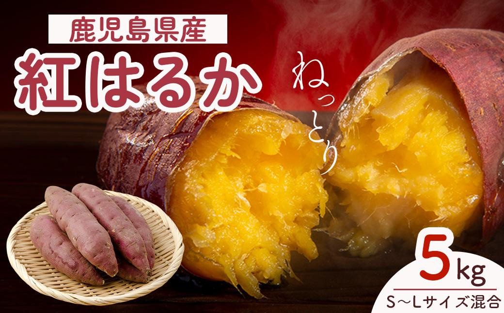 
【先行予約】紅蜜芋　紅はるか　5kg
