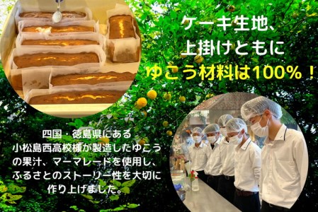 パウンドケーキ 2本 セット 国産 徳島県 スイーツ 洋菓子 柑橘 ギフト ※配送指定不可 ( 大人気パウンドケーキ 人気パウンドケーキ 絶品パウンドケーキ 至高パウンドケーキ 国産パウンドケーキ 徳