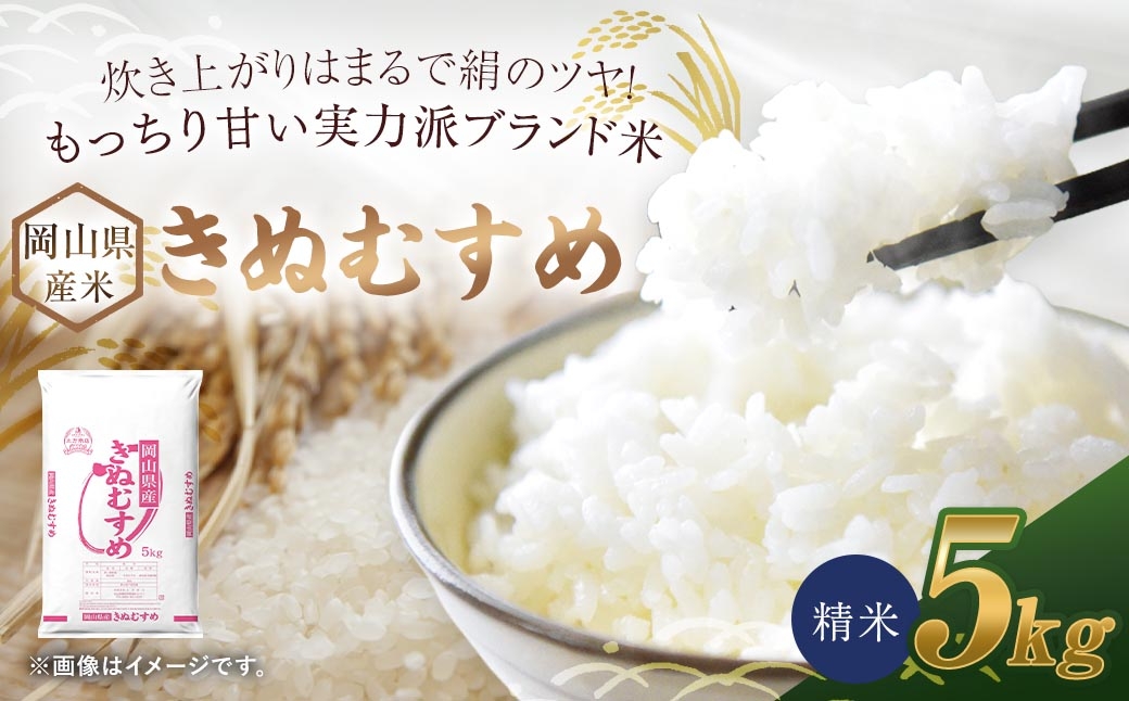 
                  【 令和8年産 】 岡山県産米 きぬむすめ 5kg × 1袋 お米 米 こめ コメ 白米 精米 白飯 飯 ご飯 おにぎり 和食 国産 ブランド米 ブランド 【 2026年10月上旬から2027年8月下旬迄発送予定 】
                
