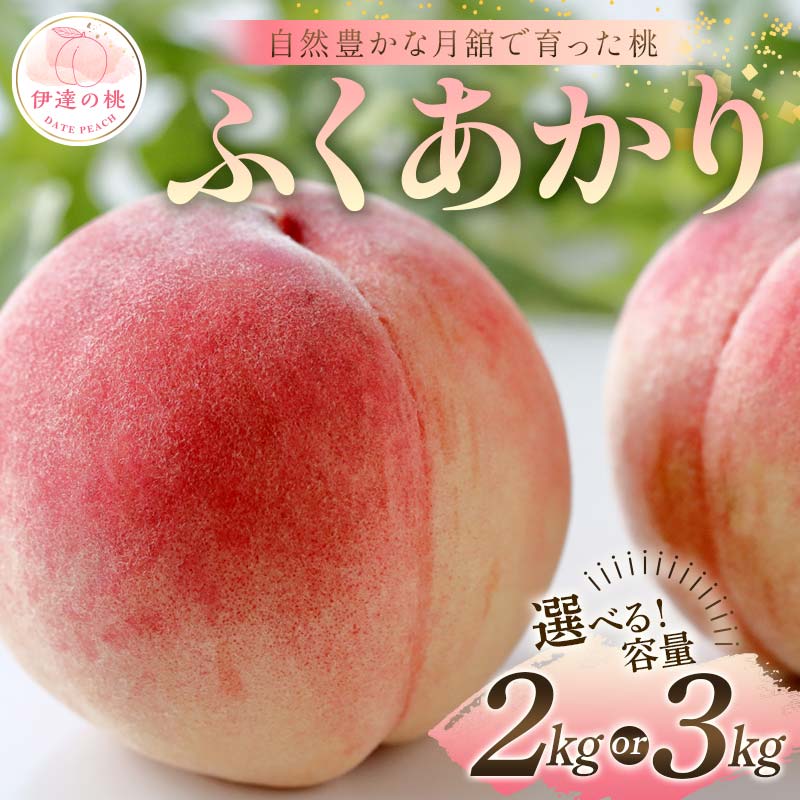 【ふるさと納税】≪2025年出荷分≫ 先行予約 自然豊かな月舘で育った桃 ふくあかり 《選べる容量》 約2kg or 約3kg 桃 もも モモ 果物 くだもの フルーツ 名産品 国産 食品 F21C-050var