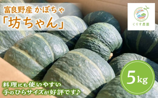 
                  ＜2027年発送＞北海道富良野産かぼちゃ「坊ちゃん」5kg ※手のひらサイズが好評です!【1576617】
                