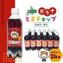 【ふるさと納税】【ガラナ 500ml×24本】とまチョップ カロリーオフ