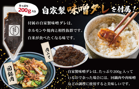 【ふるなびWEEK対象】ホルモン 松阪牛 ミックス牛ホルモン500g＋味噌ダレ200g I63