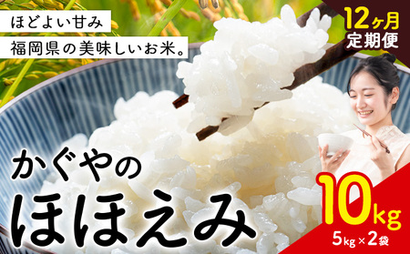 【12ヶ月定期便】米 かぐやのほほえみ 10kg 白米 《お申込み月の翌月から出荷開始》 福岡県 小竹町 お米 ブレンド米 国産