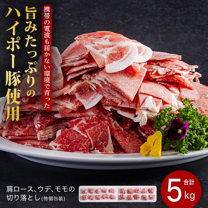 【ふるさと納税】豚肉 阿武町産 豚 切り落とし 5kgセット | 携帯の電波も届かない環境で育った旨みたっぷりのハイポー豚 豚 肉 お肉 ※配送不可:離島