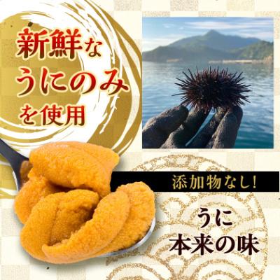 ふるさと納税 宮古市 天然生うに100g×1パック岩手県産　ミョウバン不使用 |  | 01