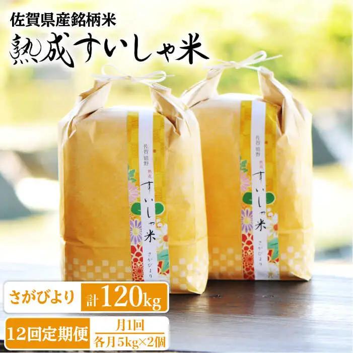 定期便 白米 さがびより10kg NAO044 全12回 白米