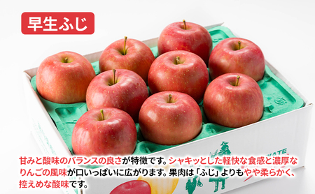 盛岡から「農で人をつなぐ」藤与果樹園：おまかせ中生品種詰め合わせ（シナノスイート、ジョナゴールド、早生ふじ、ぐんま名月、もりのかがやき等から2種以上）3kg 