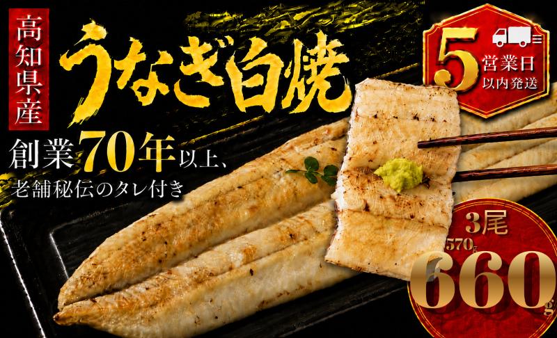 【スピード発送】 高知県産 うなぎ 白焼 3尾 | 国産 日本産 うな重 鰻 ウナギ 有頭 白焼き しらやき 土用丑の日 土用の丑の日 丑の日 魚 高級 贅沢 特別 老舗 初音 釜めし初音 鰻蒲焼 タ