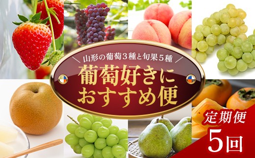 
                  【定期便5回】葡萄好きにおすすめ便 FSY-2770
                