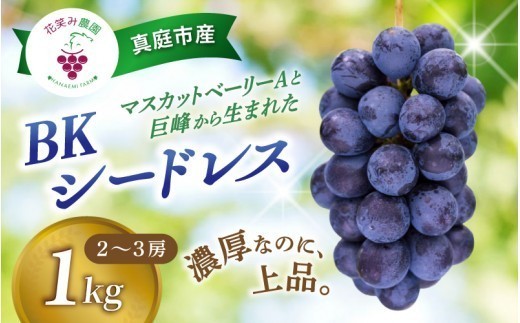 【 2027年 先行予約 】種なしブドウ 岡山産 BKシードレス 1kg（2～3房） 贈答用 花笑み農園 | ぶどう ブドウ 種無しぶどう 国産 果物 くだもの 葡萄 フルーツ 1キロ 甘い 糖度 高い 岡山県産 産地直送 産直 農家直送 冷蔵 岡山県 真庭市 【hana027-04】