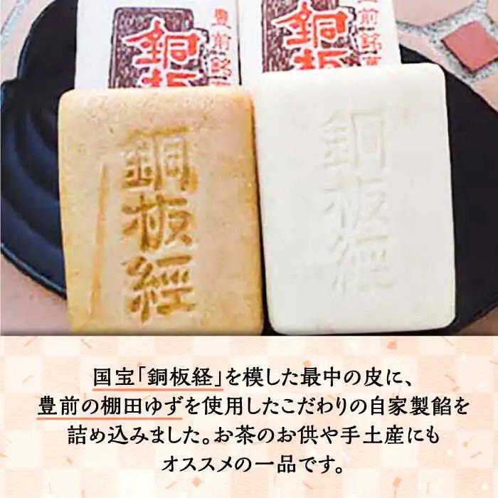 【全6回定期便】【進物箱】銅板経最中 12個入り[VBU012]ギフト 贈り物 和菓子 饅頭