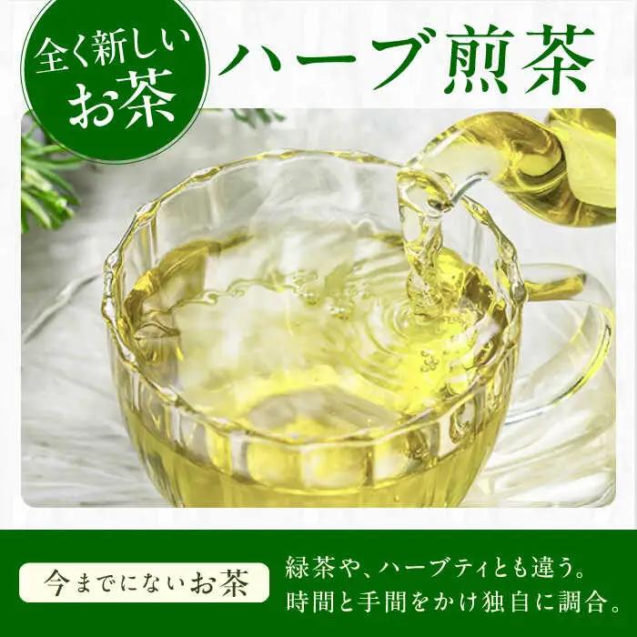 エルダーフラワーティーバッグ2.5g×10包 / ティーバッグ お茶[AFAG015]