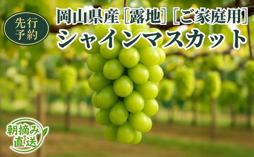 
                  【2026年先行予約】［露地］岡山県産シャインマスカット 2kg （３～５房入）ご家庭用|シャインマスカット ぶどう フルーツ 果物   岡山県 鏡野町
                
