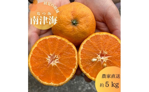 
                  南津海（なつみ）（約5㎏）(A140-1)
                