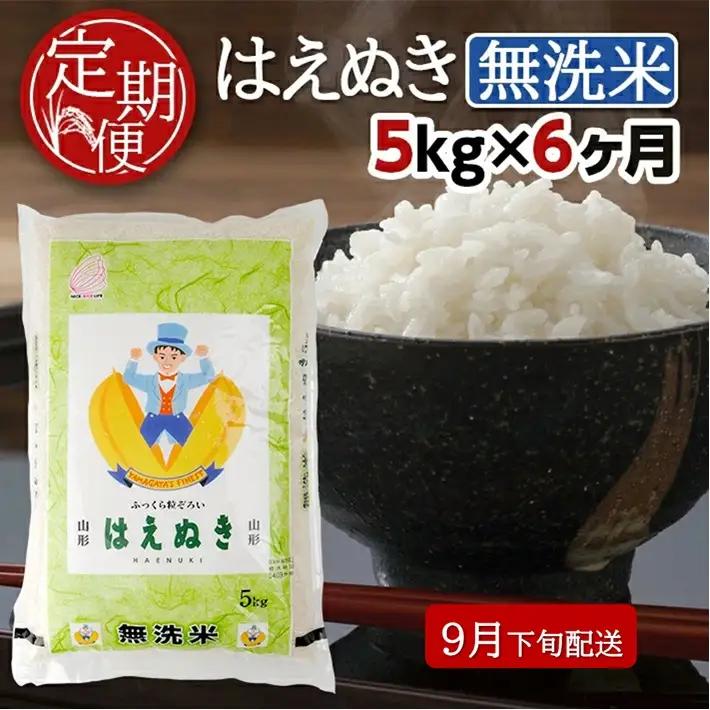 SH0077　9月下旬発送開始／【6回定期便】無洗米 はえぬき　5kg×6回(計30kg) TO